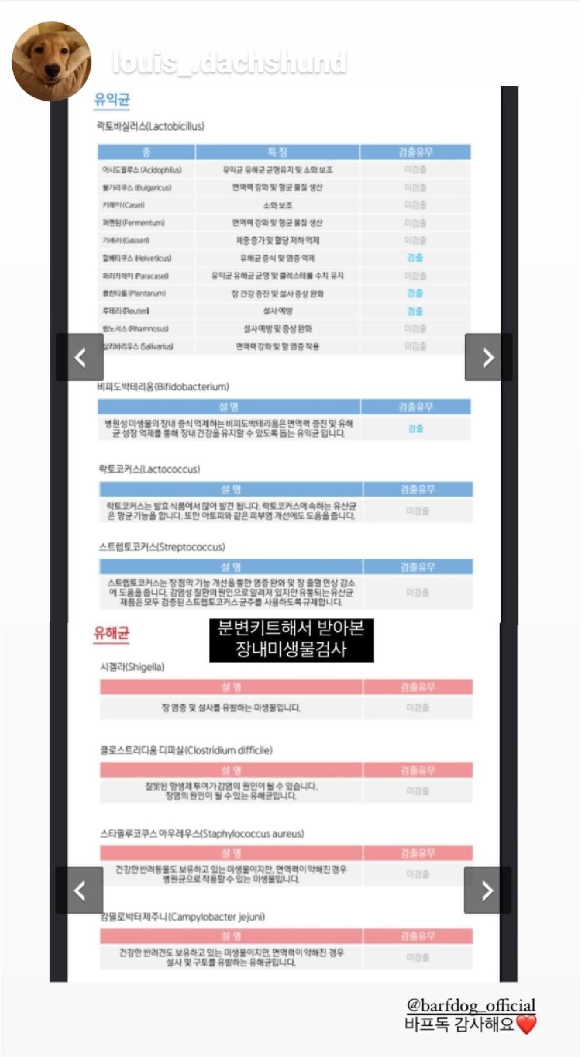 바프독 이미지1-[object Module]