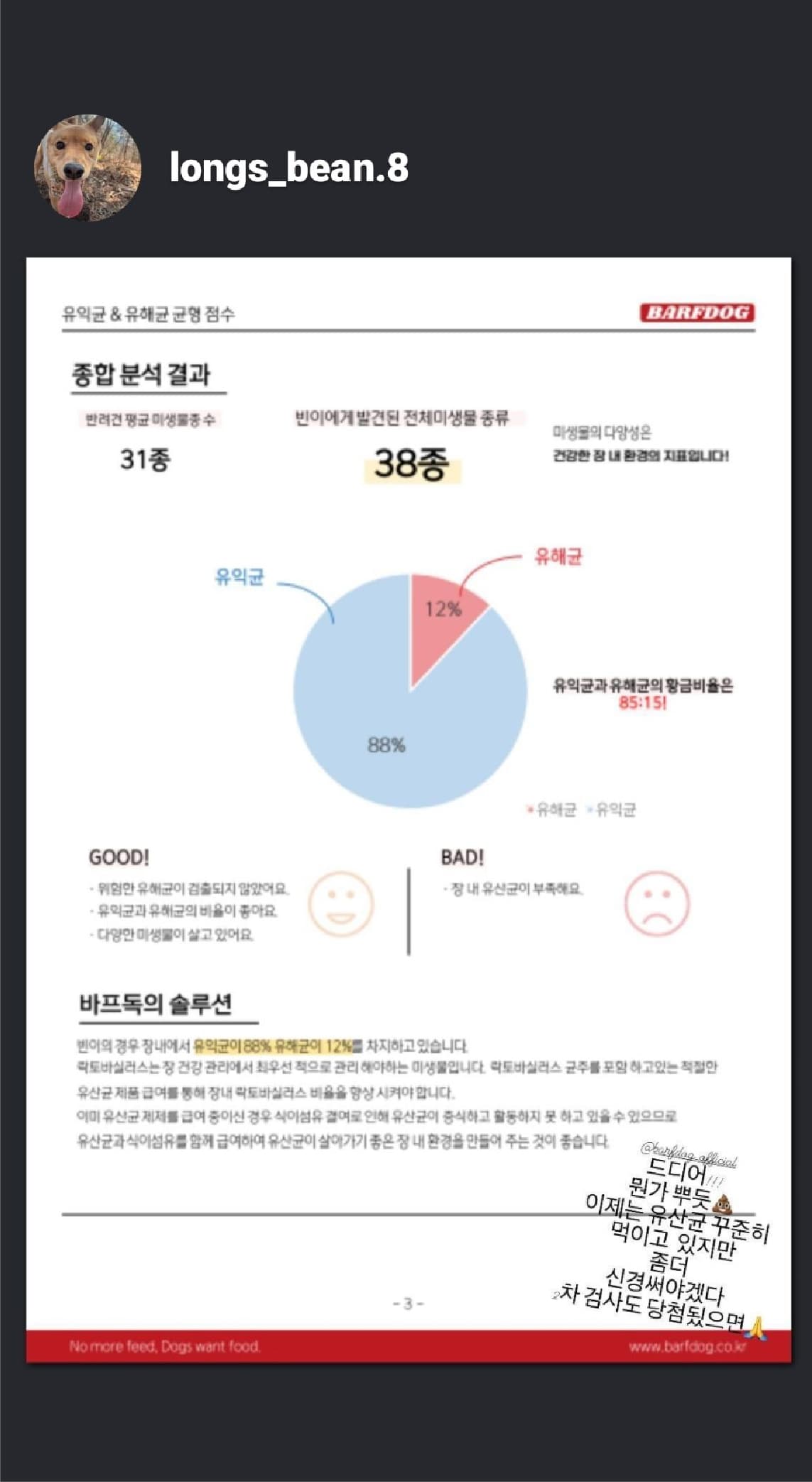 바프독 이미지1-[object Module]