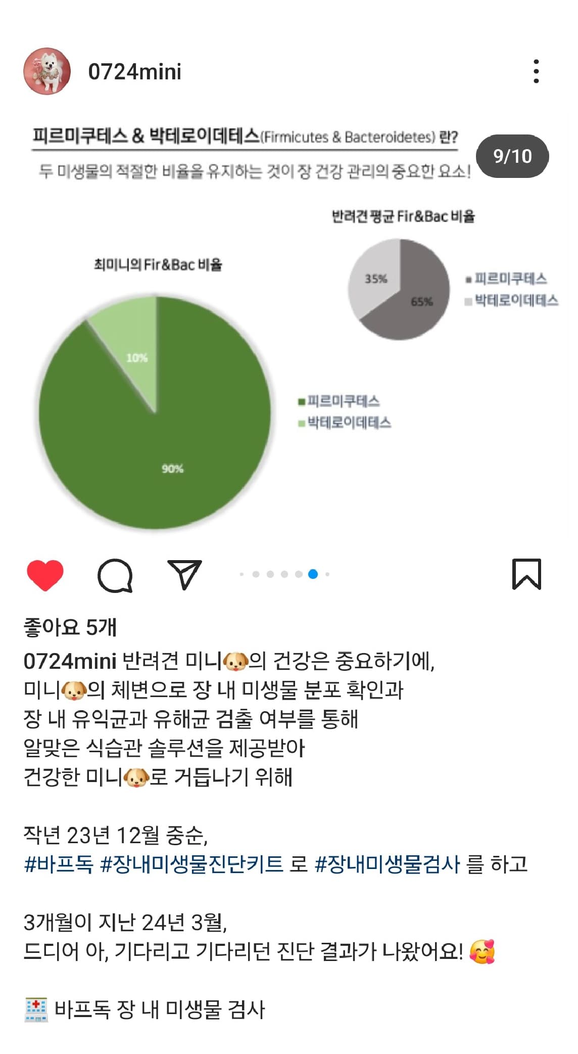 바프독 이미지1-[object Module]