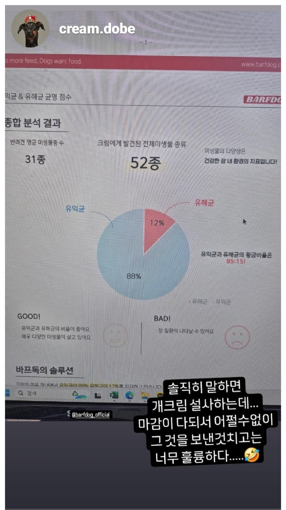 바프독 이미지1-[object Module]