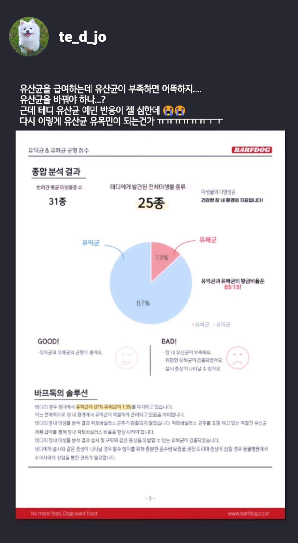 바프독 이미지1-[object Module]